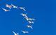 Photo of birds flying from one place to another, to show their migration.