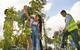 People planting trees in community